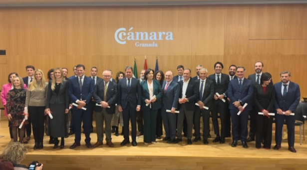 Nuevo pleno de Cámara Granada (CRISTIAN FERNÁNDEZ)