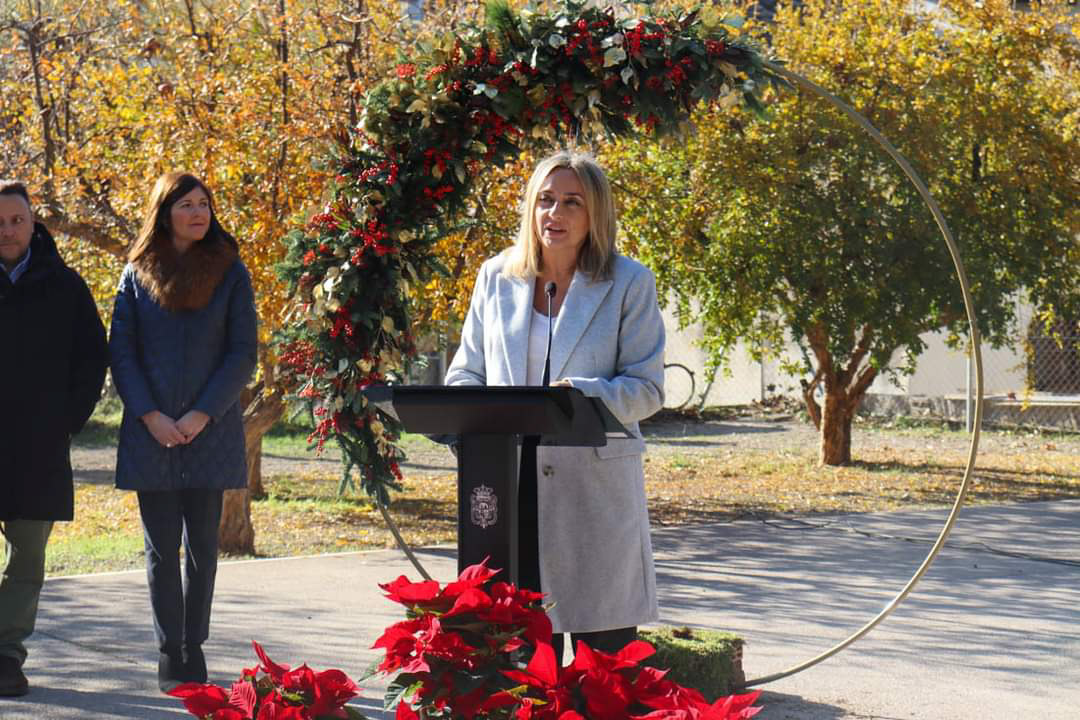 La alcaldesa de Granada, Marífrán Carazo, ha presentado la campaña (CRISTIAN FERNÁNDEZ)