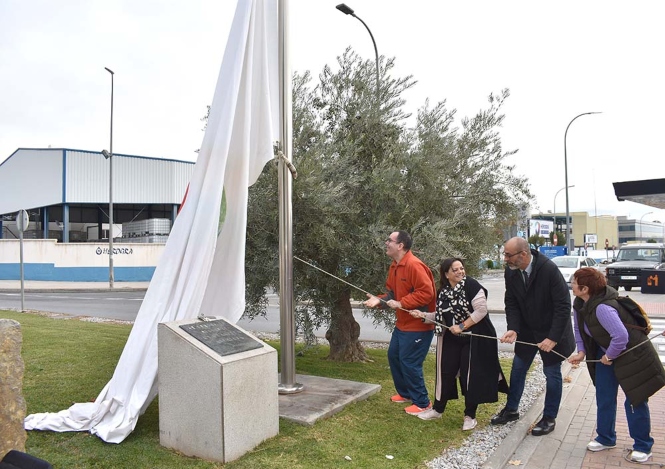 Izada de la bandera de la diversidad funcional (AYTO. ALBOLOTE)