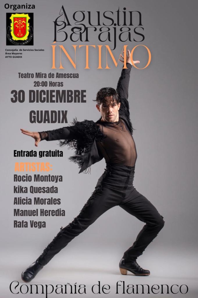 (AYUNTAMIENTO GUADIX)