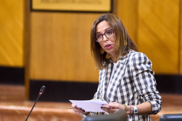 La consejera de Fomento, Articulación del Territorio y Vivienda de la Junta, Rocío Díaz, en sesión plenaria del Parlamento, en imagen de archivo (JOAQUÍN CORCHERO / PARLAMENTO DE ANDALUCÍA)