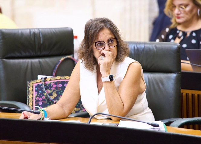 La consejera de Salud y Consumo, Catalina García, en un Pleno del Parlamento andaluz, en imagen de archivo (JOAQUIN CORCHERO/PARLAMENTO DE ANDALUCÍA) 