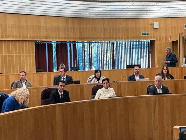 Grupo socialista en el pleno (PSOE)