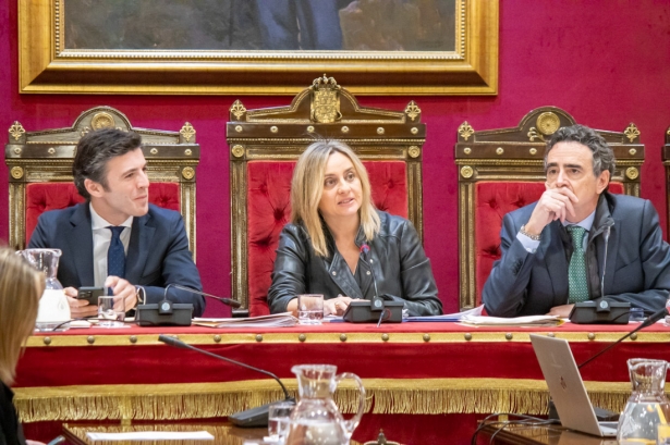 Pleno del Ayuntamiento de Granada (CRISTIAN FERNÁNDEZ)