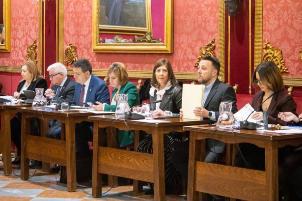 Pleno del Ayuntamiento de Granada (CRISTIAN FERNÁNDEZ)