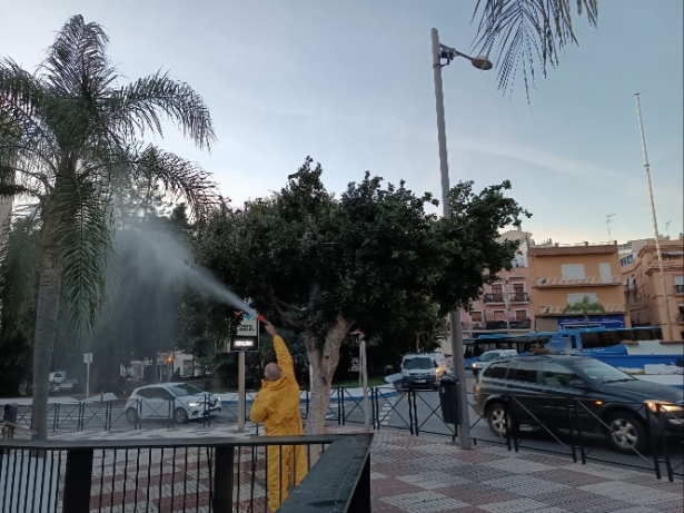 (AYUNTAMIENTO ALMUÑECAR) 