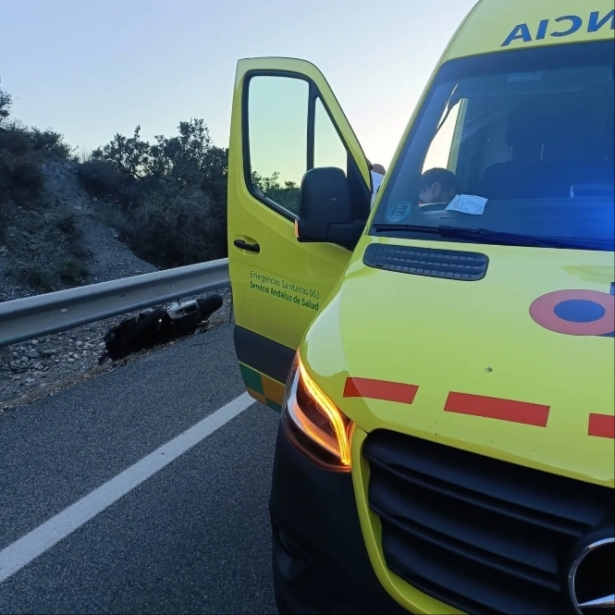 El vehículo del 061 en el lugar de los hechos junto a la motocicleta siniestrada bajo el quitamiedos de la carretera N-340 (061) El vehículo del 061 en el lugar de los hechos junto a la motocicleta siniestrada bajo el quitamiedos de la carretera N-340 (061)