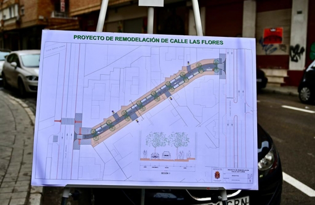 Proyecto de remodelación de la Calle Las Flores (AYTO. GRANADA)