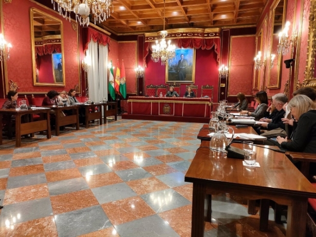 Comisión de Protección Ciudadana, Educación, Política Social y Familia en el Ayuntamiento de Granada (EUROPA PRESS)