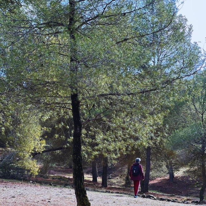 (AYUNTAMIENTO LA ZUBIA)