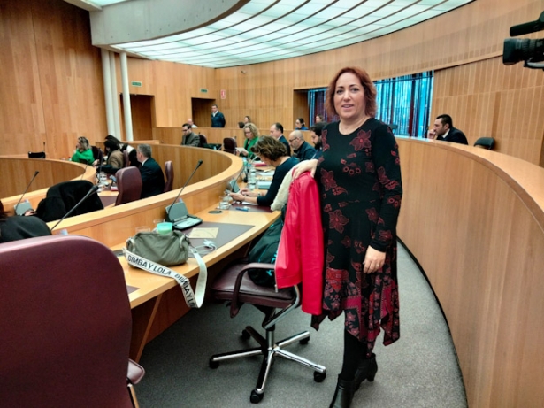 Mari Carmen Pérez (IU) Mari Carmen Pérez (IU)