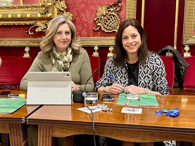 Vox afea al PP el voto en contra a su propuesta sobre la Zona de Bajas Emisiones en Granada (VOX)