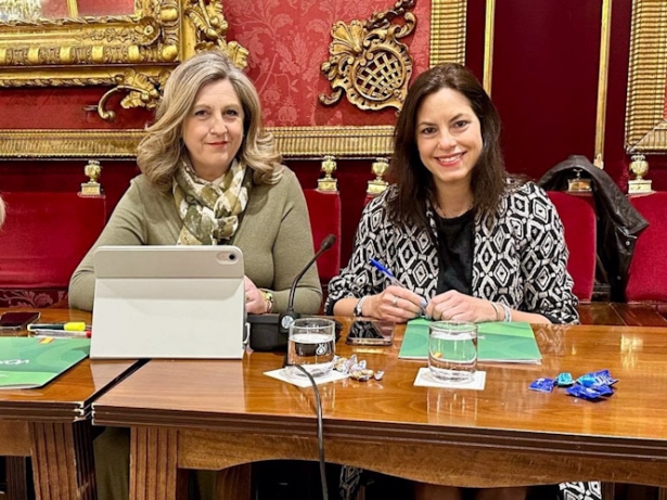 Vox afea al PP el voto en contra a su propuesta sobre la Zona de Bajas Emisiones en Granada (VOX)