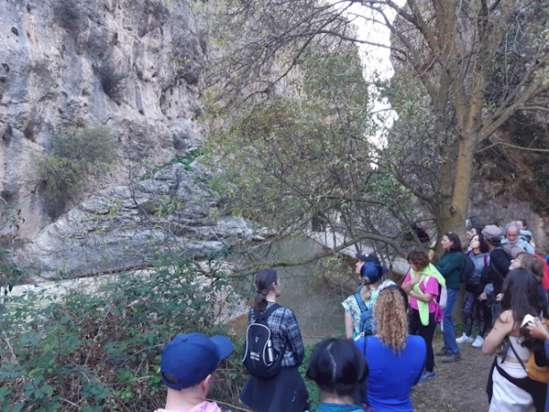 (FUNDACIÓN CAJA RURAL) (FUNDACIÓN CAJA RURAL)