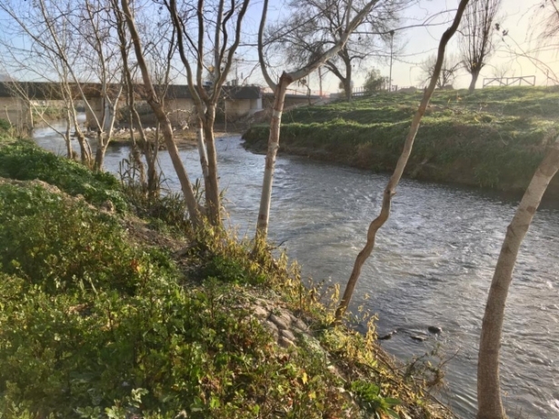 Río Genil a su paso por Huétor Tájar (AYTO. HUÉTOR TÁJAR)