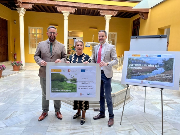 Presentación de los concursos (DIPGRA) Presentación de los concursos (DIPGRA)