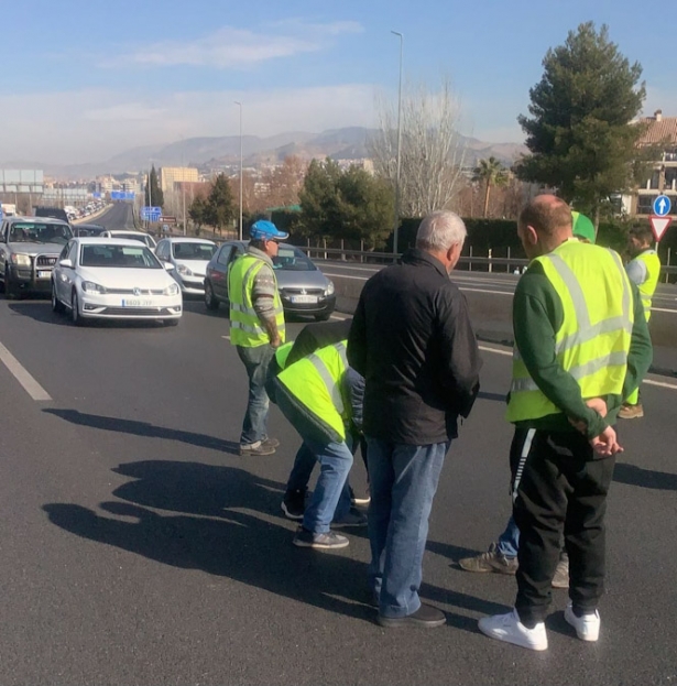 Huelga de agricultores (GRN)