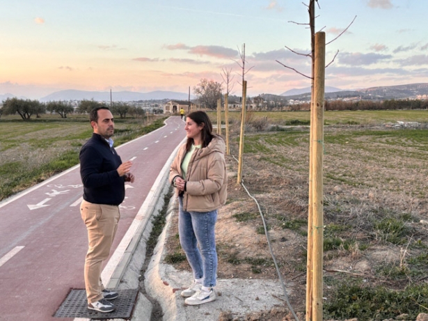 (AYUNTAMIENTO PULIANAS)