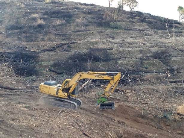 Plataforma por el Monte Andaluz critica los trabajos en el terreno incendiado en el cerro de San Miguel de Granada. (PLATAFORMA POR EL MONTE ANDALUZ)
