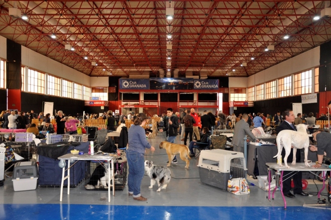 Edición anterior de la feria (DINGO NATURA)