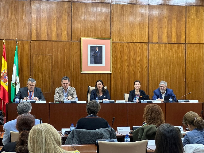 Imagen de la reunión (JUNTA) 