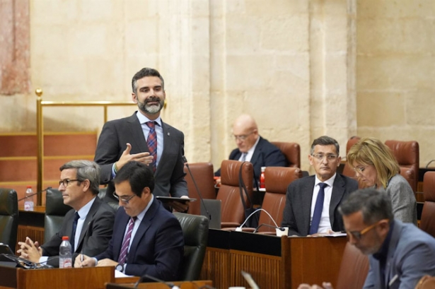 El consejero de Sostenibilidad, Medio Ambiente y Economía Azul y portavoz del Gobierno, Ramón Fernández-Pacheco, durante su intervención en la segunda jornada de Pleno (MARÍA JOSÉ LÓPEZ - EUROPA PRESS)