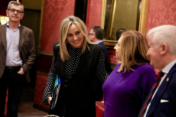 Marífrán Carazo ha aprobado su primer presupuesto (AYTO. GRANADA)