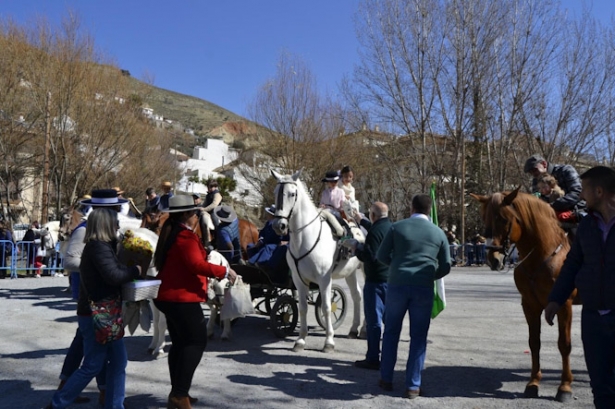 (AYUNTAMIENTO MONACHIL)