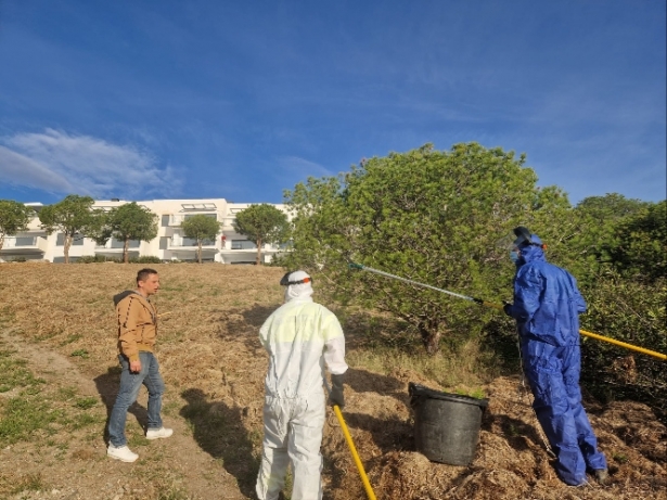 (AYUNTAMIENTO ALMUÑÉCAR) 