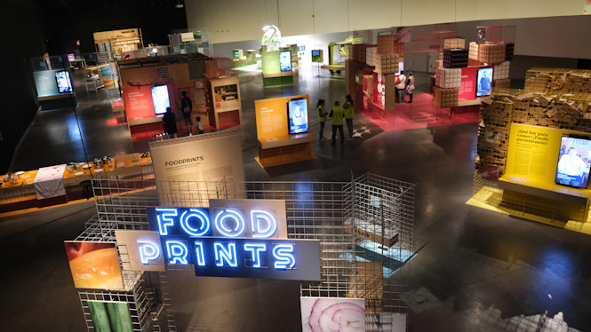 (PARQUE DE LAS CIENCIAS)