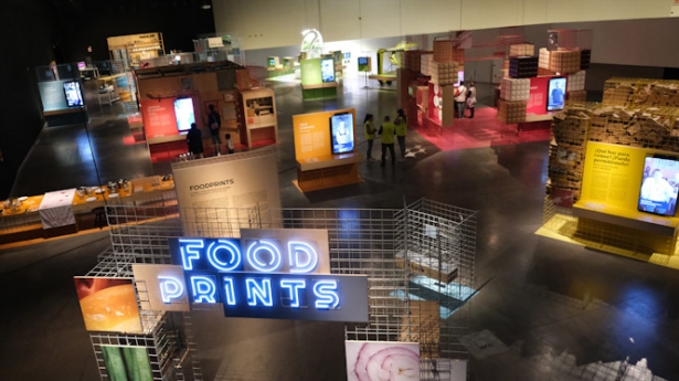 (PARQUE DE LAS CIENCIAS)