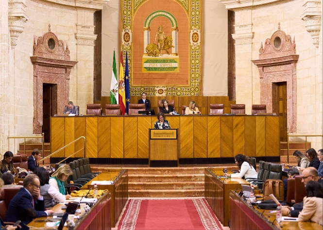 Pleno del Parlamento andaluz (JOAQUÍN CORCHERO/PARLAMENTO DE ANDALUCÍA) 
