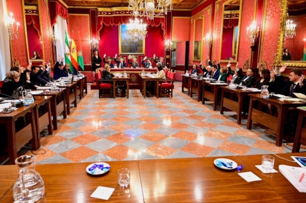 Pleno del Ayuntamiento de Granada, en imagen de archivo (AYUNTAMIENTO)