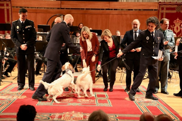 Celebración del patrón de los s bomberos (AYTO. GRANADA)