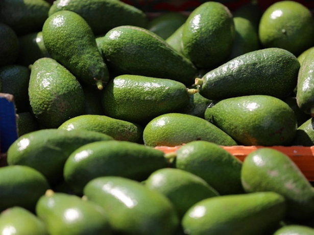 AGUACATES. Archivo (CONTACTO FOTO)