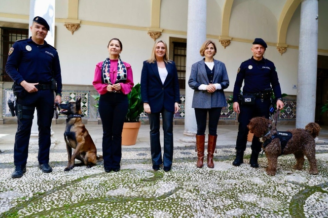 Presntación de Asican (AYTO. GRANADA)