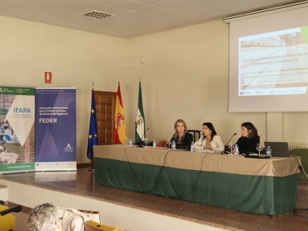 Reunión del IFAPA (IFAPA) Reunión del IFAPA (IFAPA)