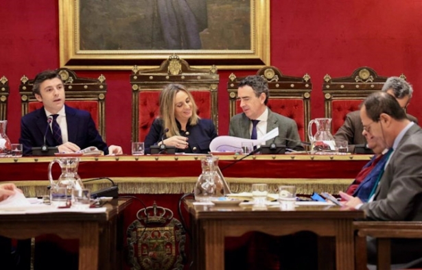 Pleno del Ayuntamiento de Granada, en imagen de archivo (AYUNTAMIENTO DE GRANADA) Pleno del Ayuntamiento de Granada, en imagen de archivo (AYUNTAMIENTO DE GRANADA)