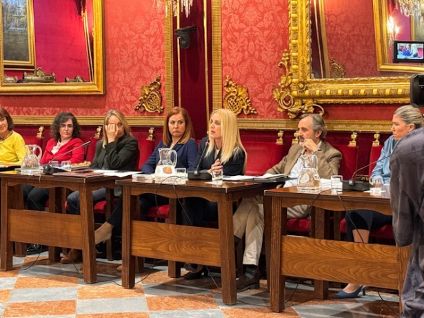 Mesa técnica de la luz (AYTO. GRANADA) Mesa técnica de la luz (AYTO. GRANADA)