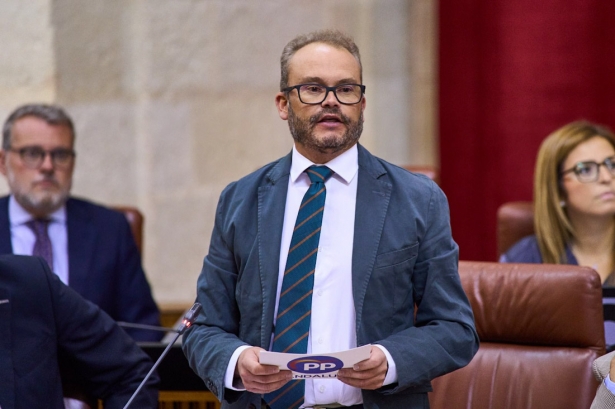 El parlamentario andaluz del PP, Mariano García (PP) El parlamentario andaluz del PP, Mariano García (PP)