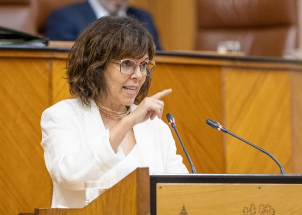 (PSOE) (PSOE)