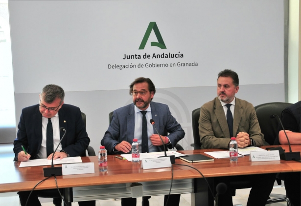 Imagen de la reunión (JUNTA) Imagen de la reunión (JUNTA)