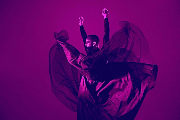 Espectáculo de Manuel Liñán (FLAMENCO FESTIVAL) Espectáculo de Manuel Liñán (FLAMENCO FESTIVAL)