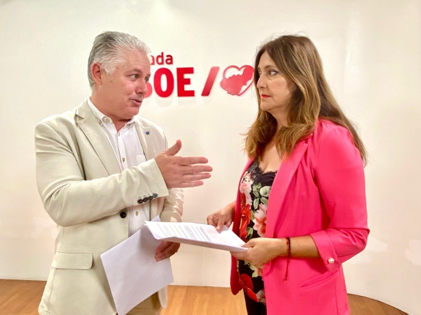 (PSOE) (PSOE)