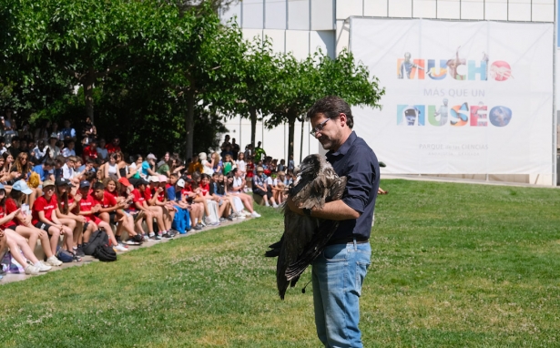 Francisco Rodríguez con una cría de quebrantahuesos de 4 meses al inicio del taller `Rapaces en vuelo` en el Parque de las Ciencias (PARQUE DE LAS CIENCIAS) Francisco Rodríguez con una cría de quebrantahuesos de 4 meses al inicio del taller `Rapaces en vuelo` en el Parque de las Ciencias (PARQUE DE LAS CIENCIAS)