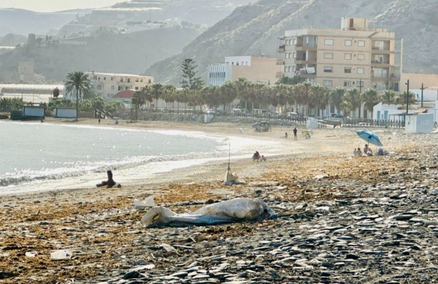 Playa de Albuñol (PP) Playa de Albuñol (PP)