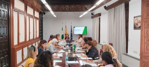 Comisión contra la violencia de género (JUNTA)