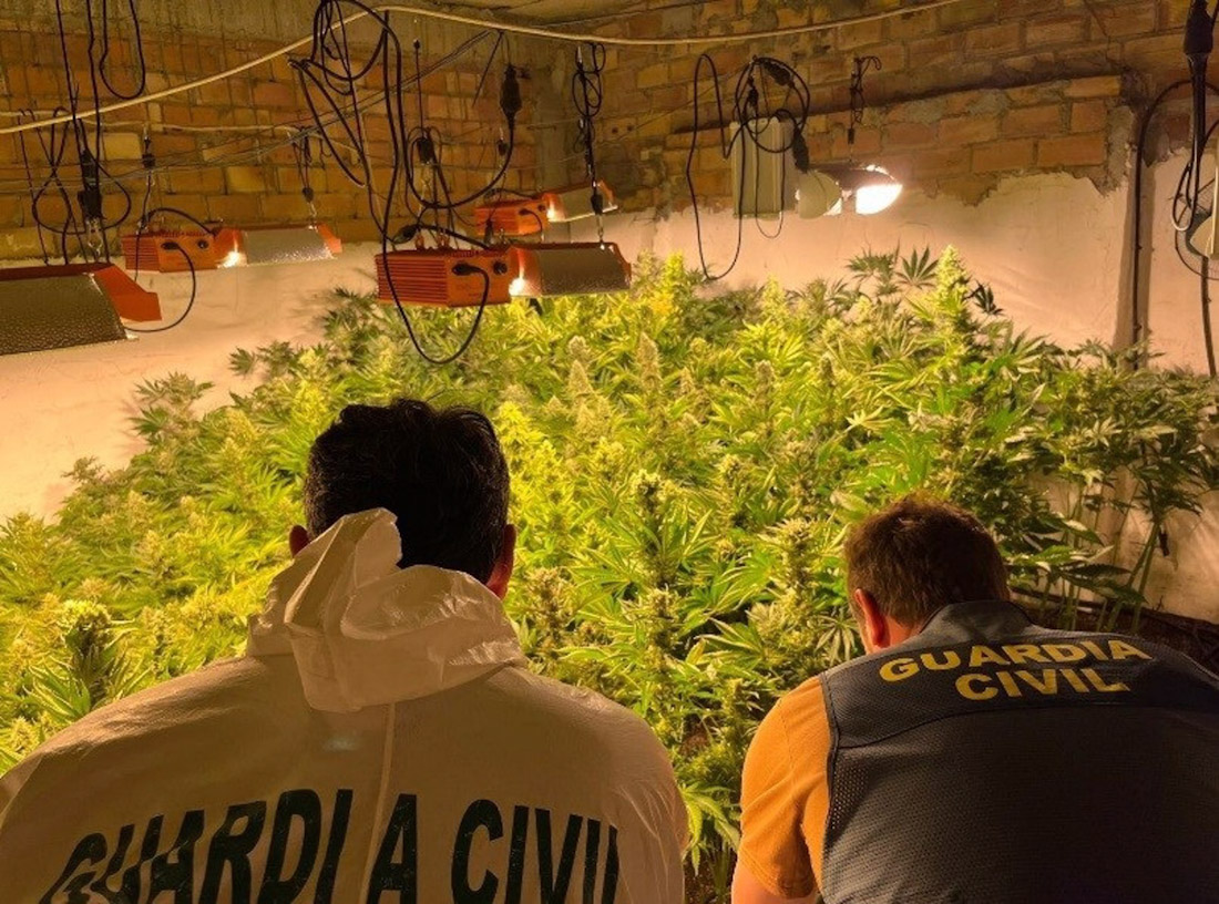 Operación de la Guardia Civil contra la producción de marihuana en Loja (GUARDIA CIVIL)