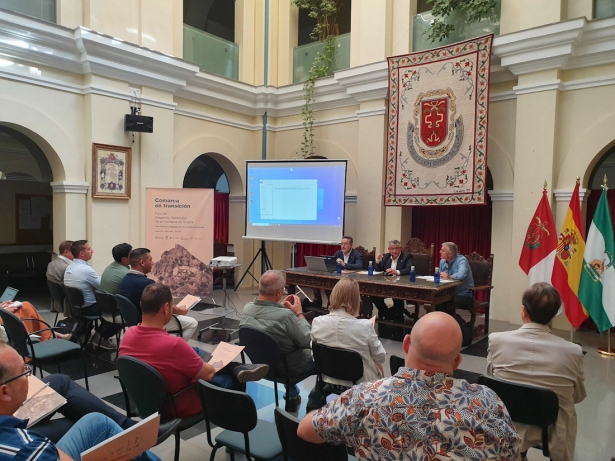 (AYUNTAMIENTO GUADIX) (AYUNTAMIENTO GUADIX)