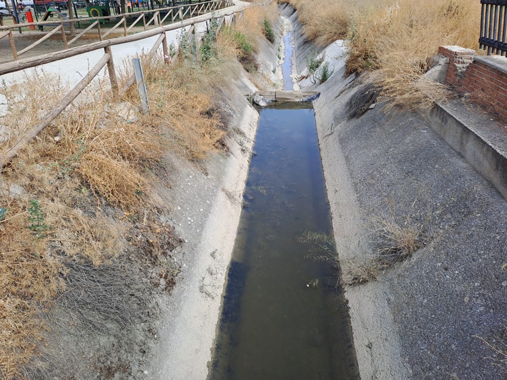 (AYUNTAMIENTO MARACENA)